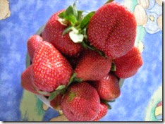 strawberry 2