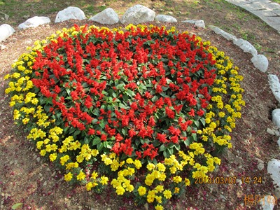 2013 恩愛農場 - 141