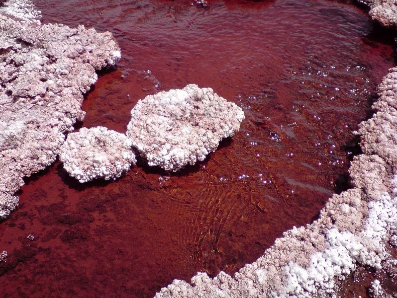 red-lagoon-chile-9