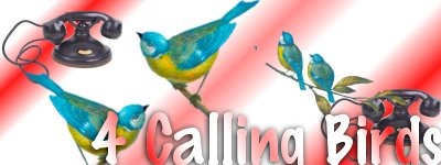 [4callingbirds4.jpg]