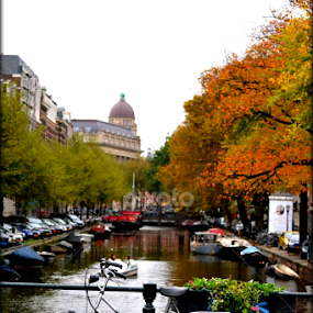 by Vijayendra Venkatesh - City,  Street & Park Neighborhoods