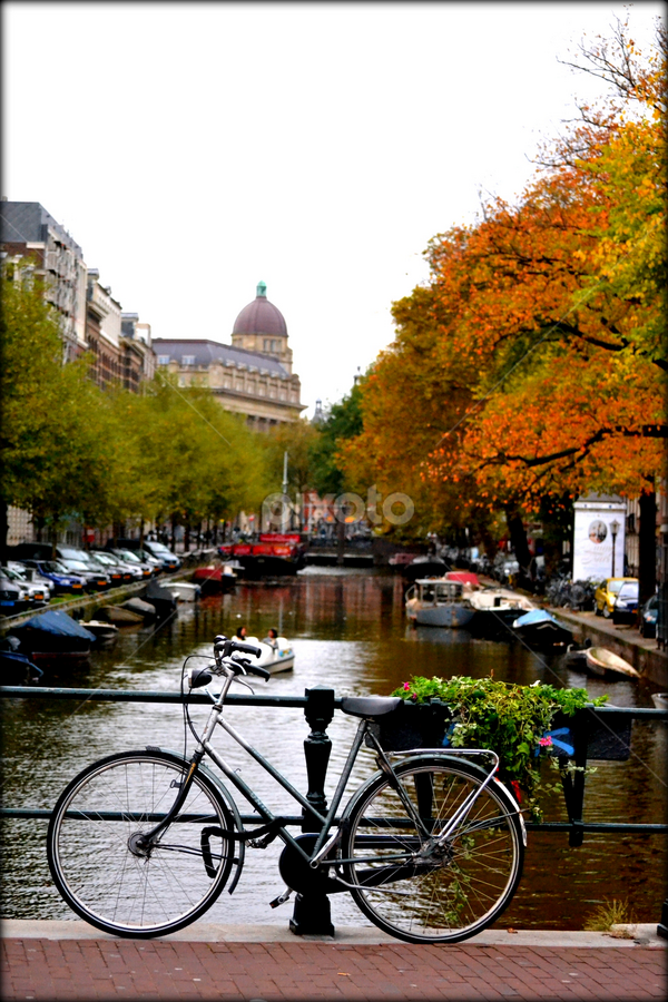 by Vijayendra Venkatesh - City,  Street & Park Neighborhoods