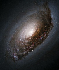 265px-Blackeyegalaxy 265px-Blackeyegalaxy