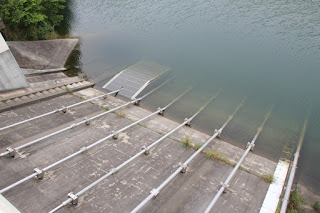 Slant-flume intake system