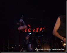 8-7-2011 PORK Zadar Wilde (78)