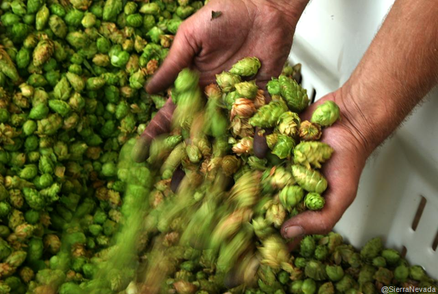 [image%255B4%255D.png]