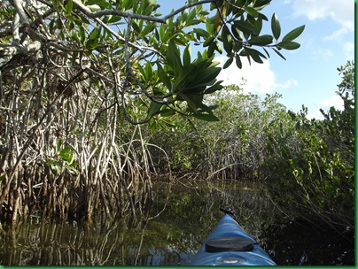 9 mile pond paddle 092