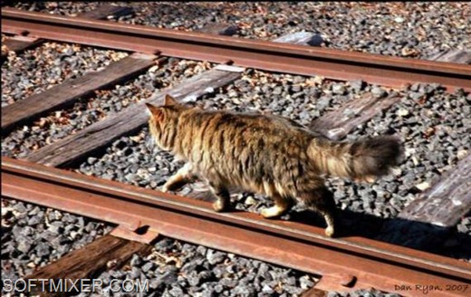 [4cc404c3f738233876d53dcdcc677b4e%255B4%255D.jpg]