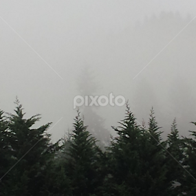 by Alannah Melton - Uncategorized All Uncategorized