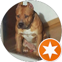 Fernando Pedro Izquierdo Galvan