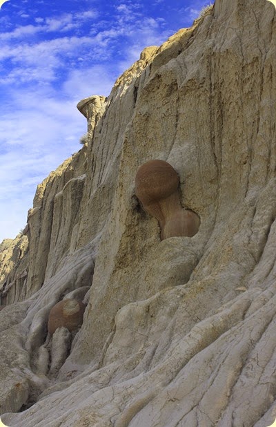 Cannonball Concretions