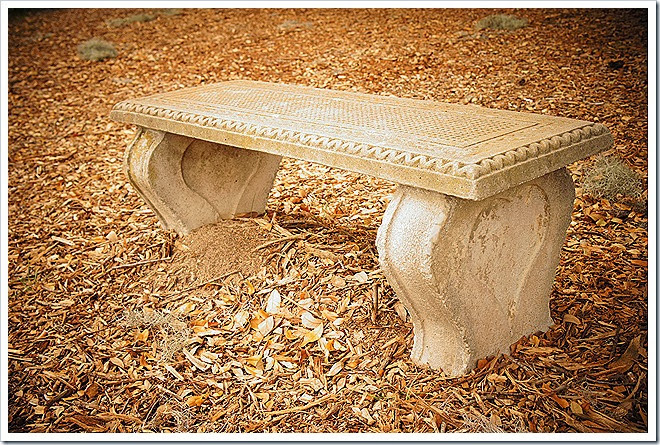 free-pictures-benches-1 (479)