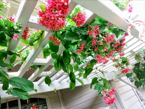 [clip_image006%255B3%255D.jpg]