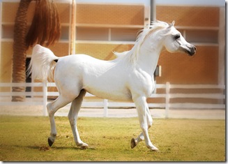 2262379973_a0024d2d8e