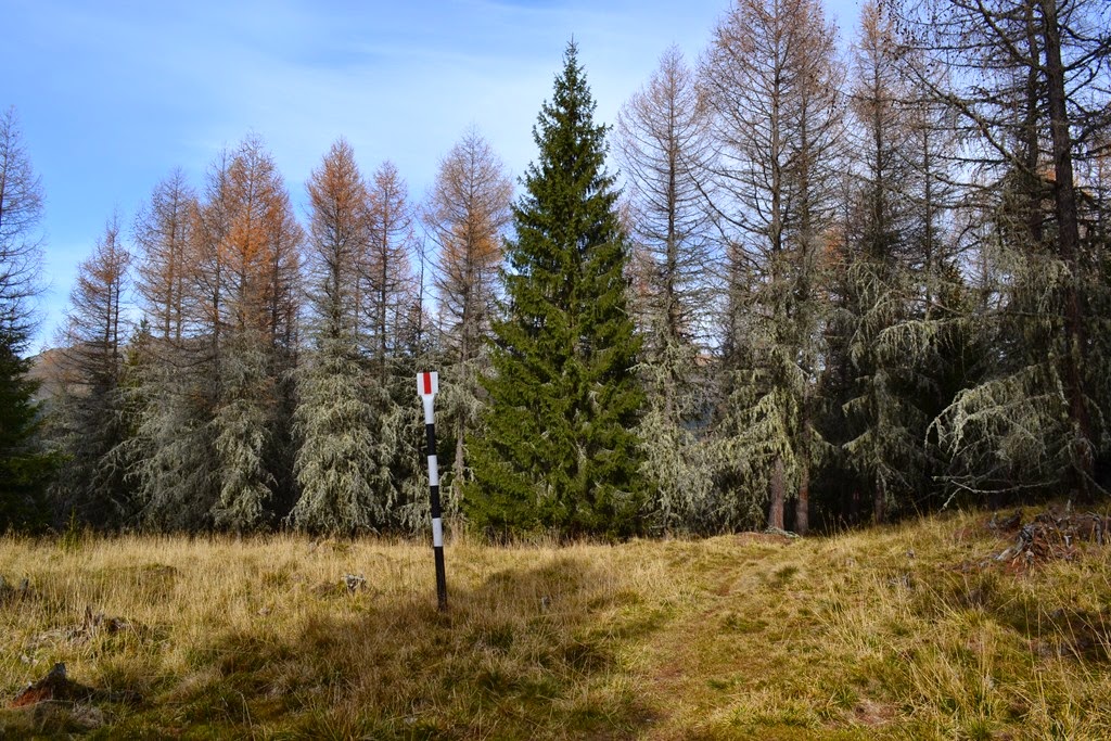 [DSC_69223.jpg]