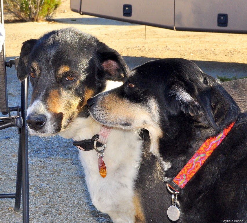 [DSC_0006%255B11%255D.jpg]