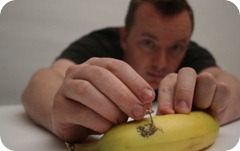 Phil Hansen: l’artista che tatua le opere di Michelangelo, Degas e Botticelli sulle banane.