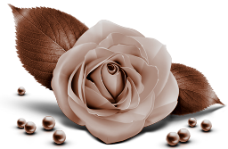 flor%25201.png