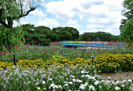 2h- Glória Ishizaka - Jardim Botânico Nagai - Osaka