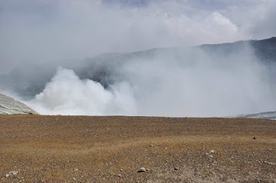 DSC_0038.jpg