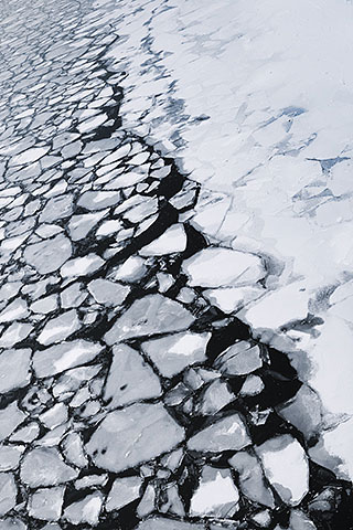 4262463401_9971a9708f