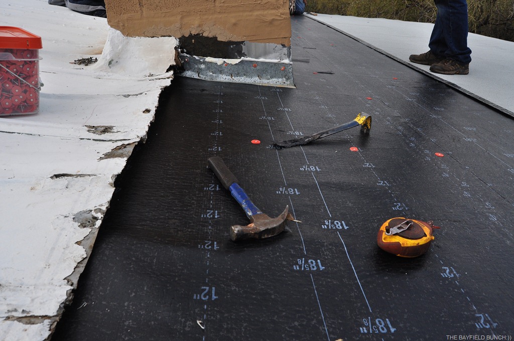 [DSC_0022%255B3%255D.jpg]