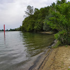 Embouchure de l'Azergues photo #1476