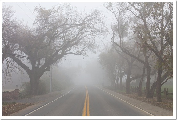 111220_fog_road