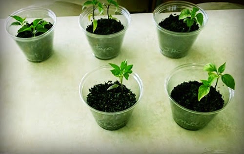 [clip_image007%255B3%255D.jpg]