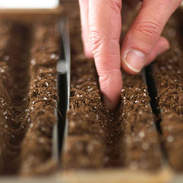 [image%255B11%255D.png]