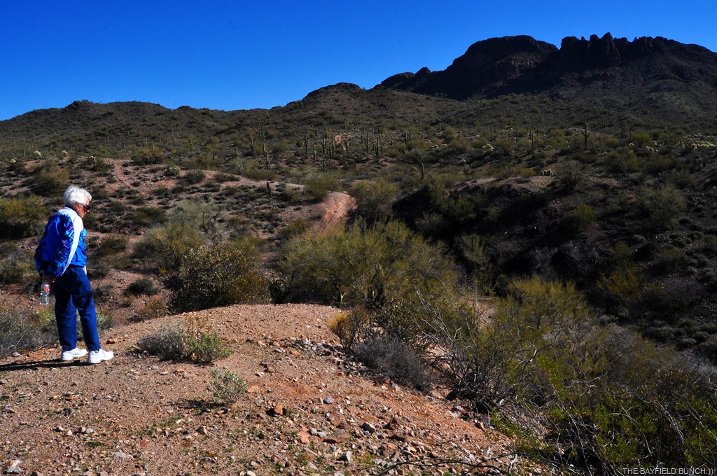 [DSC_0007%255B3%255D.jpg]