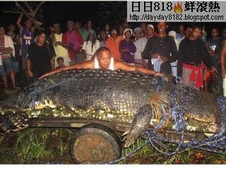 菲律賓 6米巨鱷 活捉