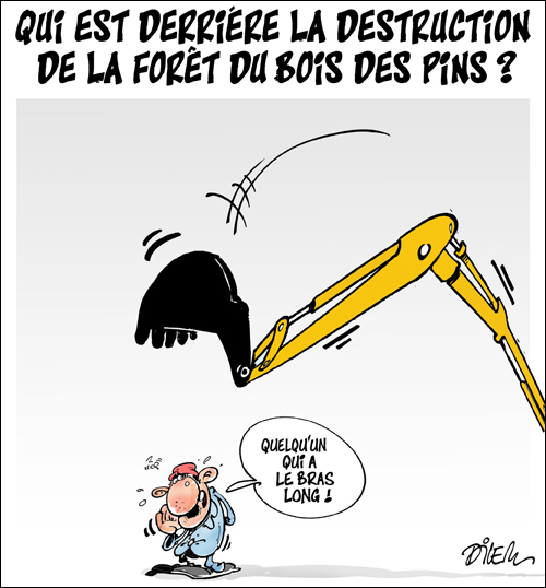dilem (1).jpg