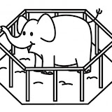 elefante-en-jaula-t18133.jpg