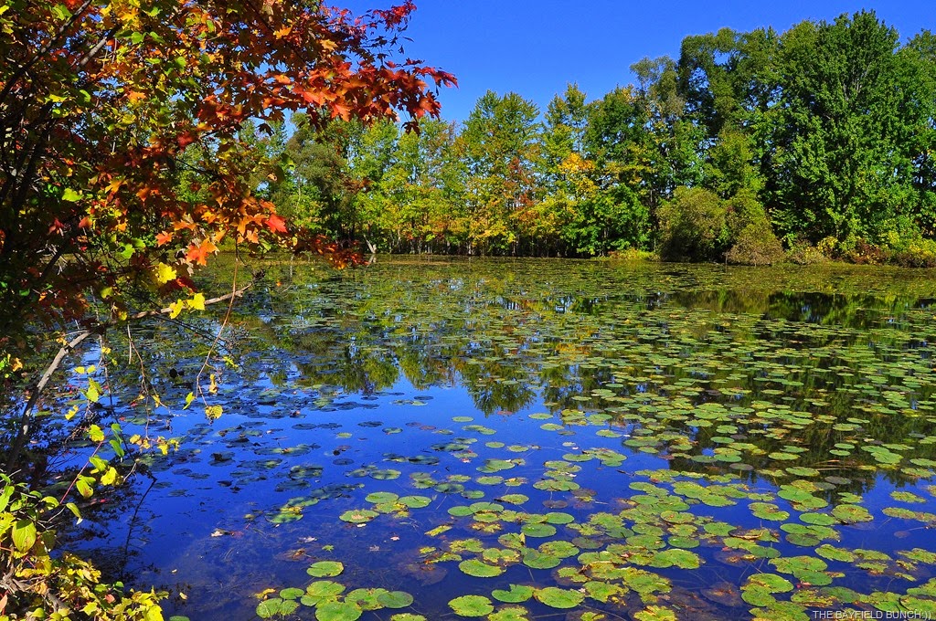 [DSC_0022%255B9%255D.jpg]