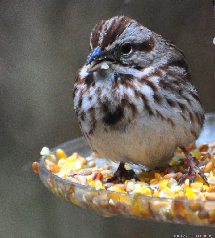 [DSC_0026%255B4%255D.jpg]