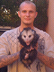 so cal animal removal: Los angeles animal control