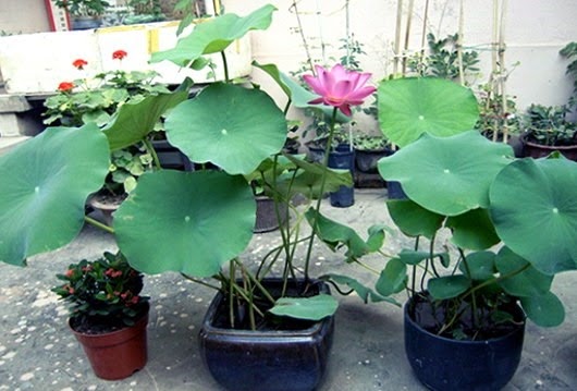 [clip_image016%255B4%255D.jpg]