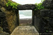 IMG_4356 IMG_4356