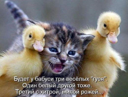 [b5e2b070d19fc9cd5dd81b4cf37_prev%255B3%255D.jpg]