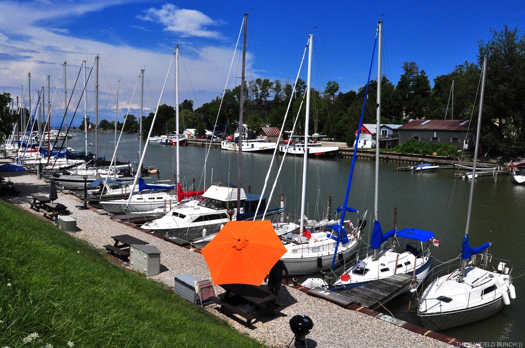 [DSC_0043%255B4%255D.jpg]