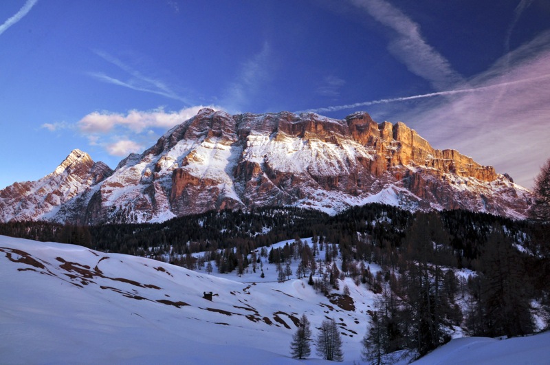 DSC_8215.JPG DSC 8215