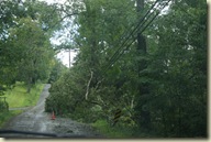 Typical tree taking down power situation