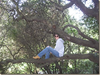Aurelia in a tree at Cordinices Park 2010