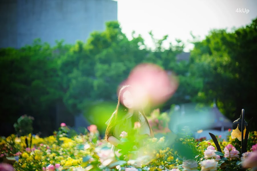 Bambi (밤비) Lacerta Photography
