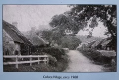 collace 1900