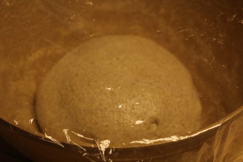 einkorn-bread-sponge10