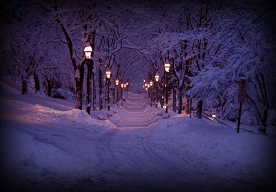 winter,lantern,lights,night,snow-9a7fa001e77e0387a53f21e7f074b223_h_large