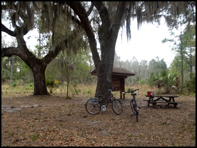 Gainesville to Hawthorn Bike Trail 175