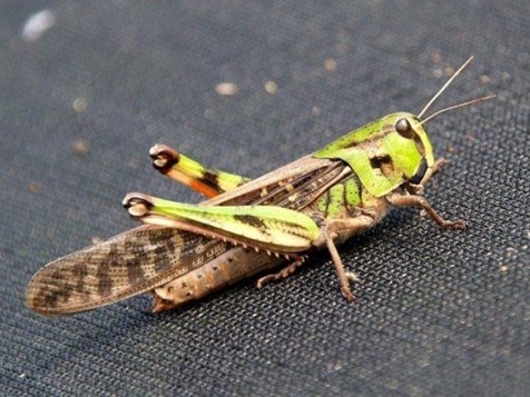 [clip_image006%255B4%255D.jpg]